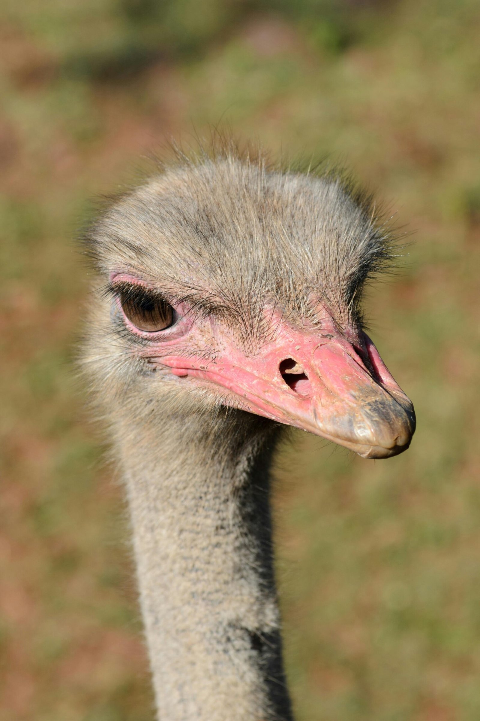 pexels-tiki-black-767003338-32154053